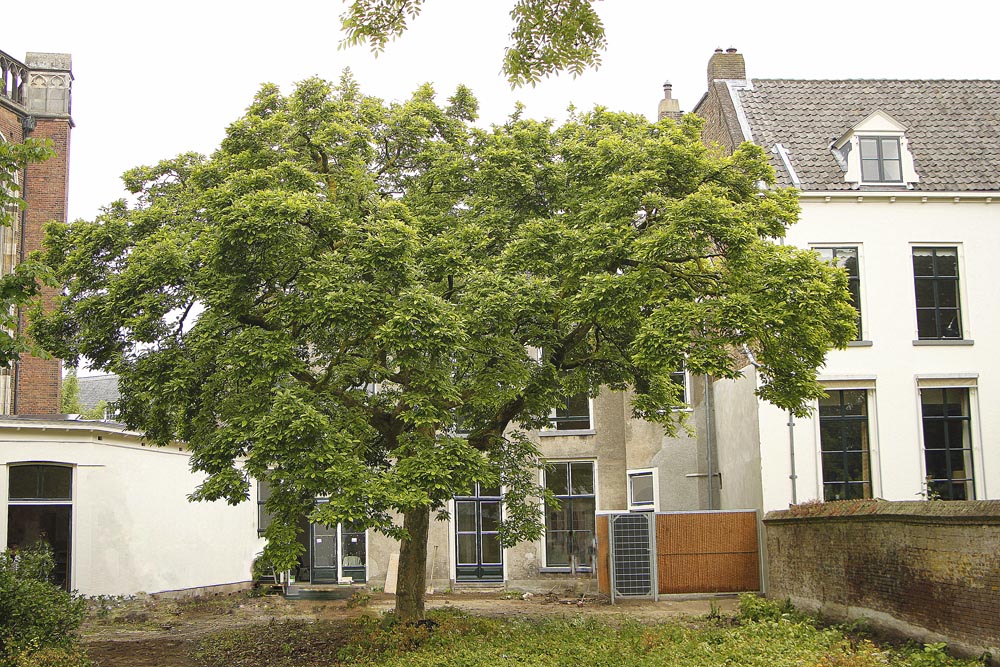 Restauratie Proostdij Zutphen 10.jpg