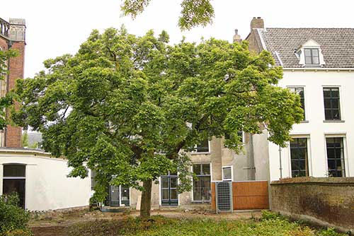 Restauratie Proostdij Zutphen